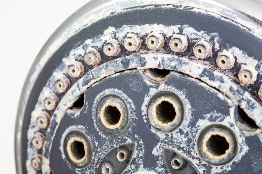 Hard water build-up on a traditional shower head.